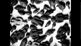 sediments/tk Hareendran