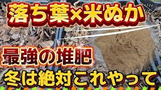 【落ち葉堆肥化】放置で出来る？？超簡単、来年の夏野菜で使える堆肥の作り方を紹介します。