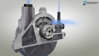 How does a vacuum pump work? (3D animation) - Motorservice Group