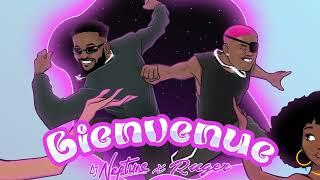 DJ Neptune - Bienvenue (Official Audio) [ feat. Ruger]