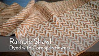 Ramble Shawl Naturally Dyed with Coreopsis Flowers