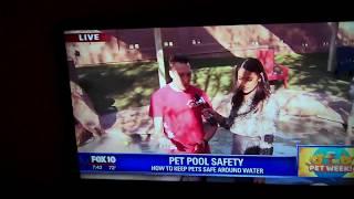 Personal Dog Training, Inc. Greg Winters on FOX 10 Phoenix (Pool Saftey)