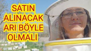 BU VİDEOYU İZLEMEDEN ASLA ARI SATIN ALMAYIN(04/04/2024)#arı#arıcılık#bee#beekeeper#beekeeping#yalvaç