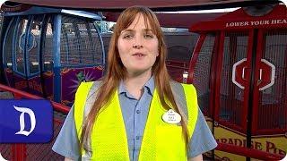 Every Role a Starring Role - Mickey's Fun Wheel Machinist at the Disneyland Resort