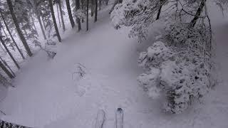 Biberwier Ski | Freeride | Powder