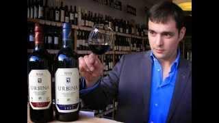 10 Coolest Wine Related Jobs - Pedro Benito Sáez Urbina