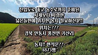 진입도로 좋고 넓은들판에 시세보다 저렴한 농지 필요하신분?? 경북 안동시 풍천면 기산리에 위치한 농지!