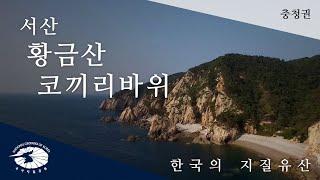 [한국의 지질유산] 서산 황금산 코끼리바위