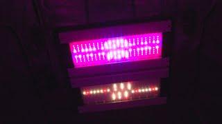 California Lightworks SolarSystem 1100 LED Grow Light PAR Test!