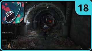 Jerma Streams [with Chat] - Elden Ring (Part 18, Randomizer) [with Ster]