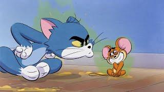 TOM VE JERRY #YENİ Çizgi Film | Kokulu Maceralar Derlemesi | @CartoonitoTurkiye