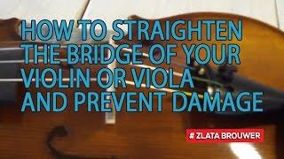 How to Straighten the Bridge of Your Violin or Viola and Prevent Damage