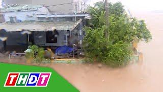 5 cơn bão, áp thấp nhiệt đới sẽ đổ bộ đất liền từ nay đến cuối năm | THDT