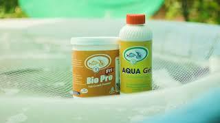 Increase Fish Growth In Easy Method | Fish Growth Promoter | Immunity Booster | Shrimp | Biofloc