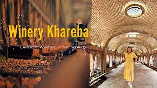 Khareba Winery | Largest Winery | Kvareli Georgia | iamRogj Gee