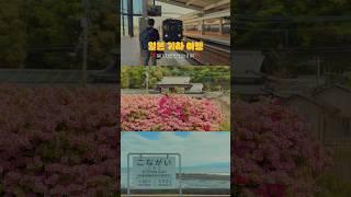  일본 기차 여행 할 때 절대 자지 마세요‼ 이렇게 예쁜 뷰 어떻게 다 놓쳐……… #일본소도시여행 #기차여행 #사가 #나가사키