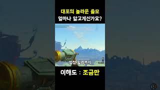 [젤다 왕눈] 대포의 놀라운 쓸모를 알아보자