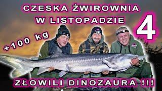 Czeska żwirownia w listopadzie - część 4 ostatnia