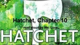 Hatchet, by Gary Paulsen, Chapter 10