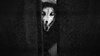 SCP: Secret Laboratory | Montage/Story