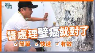 壁癌處理DIY簡單又有效｜矽酸質要怎麼做？