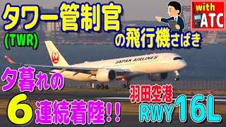 羽田RWY16L 夕暮れの6連続着陸!! タワー管制官の飛行機さばき【ATC/字幕/翻訳付き】