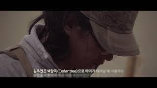 화해의 십자가The Cross of Reconciliation