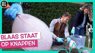 DRIE MINUTEN PLASSEN   | TOPDOKS BETER