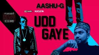 Udd Gaye (official song) Ritviz (OFFICIAL VIDEO) | AASHU-G |