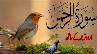 SURAH RAHMAN TARJUMA K SATH | BY QARI Al SHAIKH MUHAMMAD | EP 00485 | QURAN TILAWAT BEAUTIFUL VOICE
