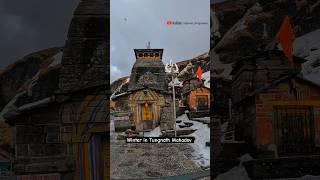 Tungnath Mahadev Winter | Har Har Mahadev Shambhu | Winter Tungnath #tungnath #snowfall #chopta #yt