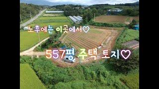 경북 포항시 북구 신광면 냉수리(전원 주택 토지)