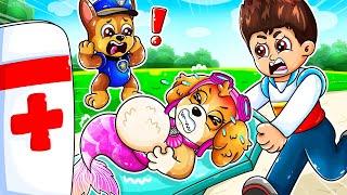 SKYE IS BREWING CUTE PREGNANT MERMAID & CUTE BABY!! ‍️- Paw Patrol Ultimate Rescue - Rainbow 3