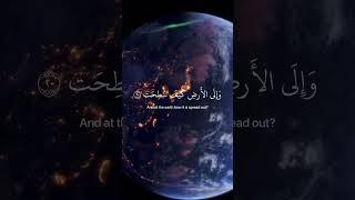 "Then do they not look at Camels, how they are created.."| AbdurRahman Mosad Quran Recitation #quran