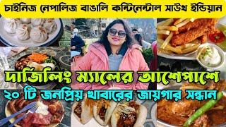 দার্জিলিঙের সেরা ২০টি খাবার জায়গা | Best Restaurants Near Darjeeling Mall | Darjeeling Food Blog