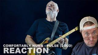 Guitarist Reacts to David Gilmour Solo - Comfortably Numb - Pulse