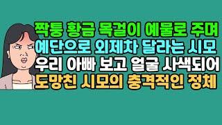 [사연듣기] 짝퉁 황금 목걸이 예물로 주며 예단으로 외제차 달라는 시모, 우리 아빠 보고 얼굴 사색되어 도망친 시모의 충격적인 정체 | 카톡썰 | 사이다사연