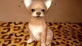 Stone Chihuahua