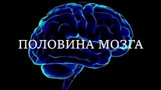 СУПЕРСПОСОБНОСТИ НАШЕГО ОРГАНИЗМА