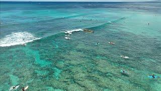 Surfing Beautiful Waikiki on (August 15, 2022)   4K