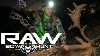 OVER THE SHOULDER BOW SHOT // Bowhunt downunder "RAW" [Fallow Buck] 2022