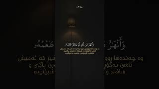 رزکار محمد الکردي | سورة محمد