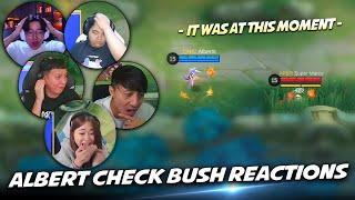 ALBERTT CHECK BUSH MISTAKE REACTIONS . . . 