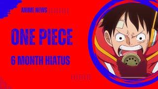 One Piece on 6 Month Hiatus