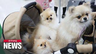 Is S. Korea friendly to its 15 million pet owners and their pets?