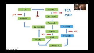 Is ME/CFS Curable? Ronald W. Davis' Lecture at the 2023 Fatigatio Symposium