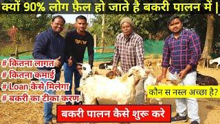 How to start Goat Farming Business | bakri palan kaise suru kare | बकरी पालन full business plan#farm