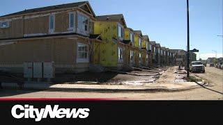 What could U.S. tariffs mean to Edmonton’s housing industry?