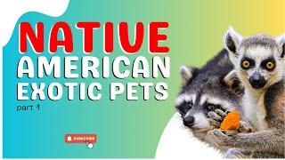 10 Exotic Pets You Can Own That Are Native to the United States Part 1