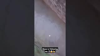 Chasing the Moon A Walk by the Water | Moonlit Journey Walking with the Reflection |  #moonlit